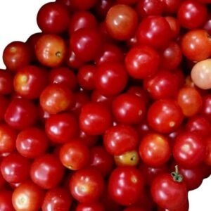 Cherry Tomato