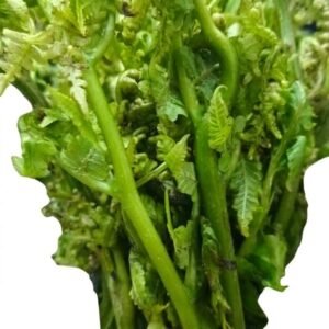 Ferma Leaf