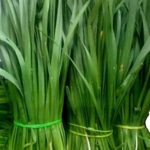 Green Onion