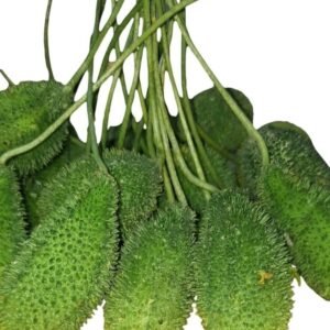 Karol(Per KG0
