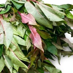 Sichuan Pepper Leaf